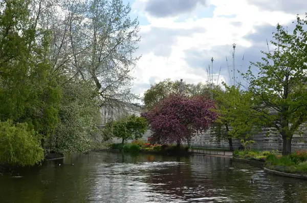 Lake edged with trees and flowering shrubs in a park