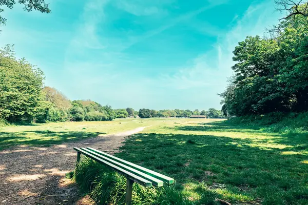 Bench beside a path across open parkland edged with trees