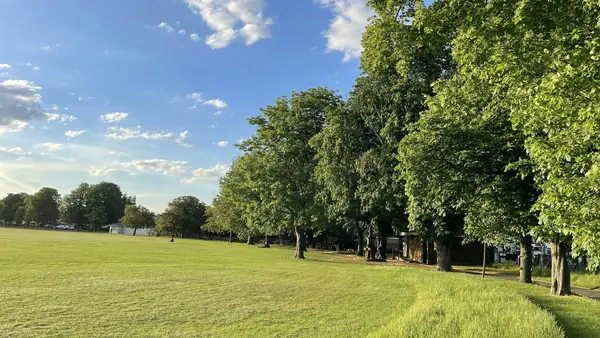 Mown playing field lined with mature trees