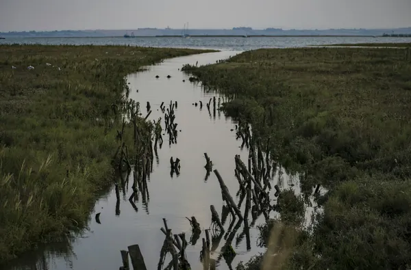 Creek winding through reeds and saltmarsh towards a wide estuary