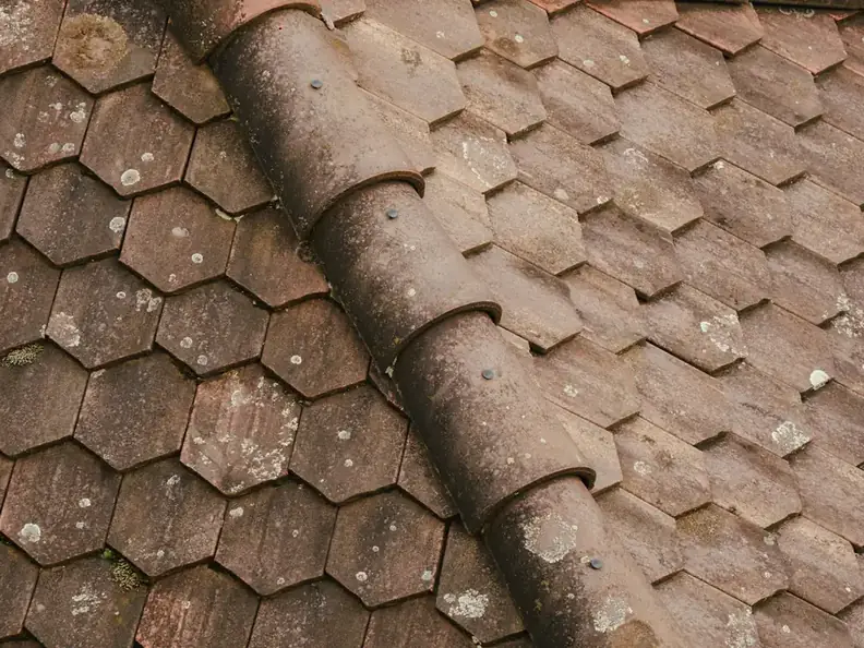 Clay ridge tile running over a roof of patterned, lichen-spotted tiles