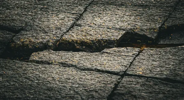 Worn granular flat roof covering with cracks and lifted edges