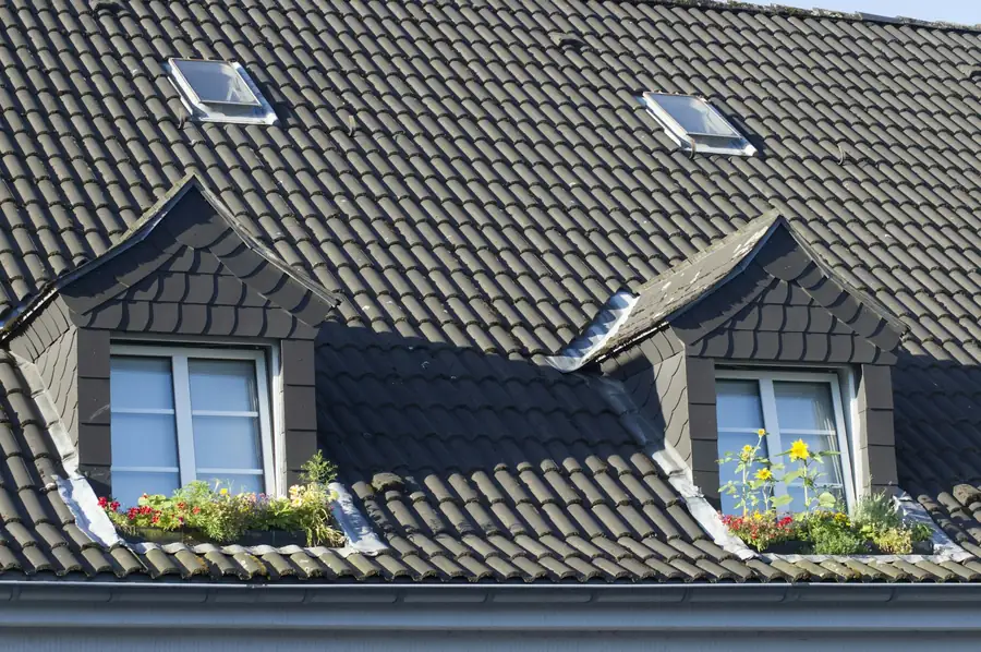 Dark tiled roof with two dormer windows and roof windows set into the slope