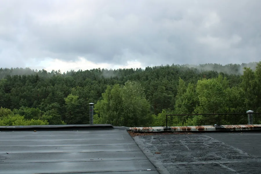Wet felt flat roof surface with an upstand edge, trees in the distance
